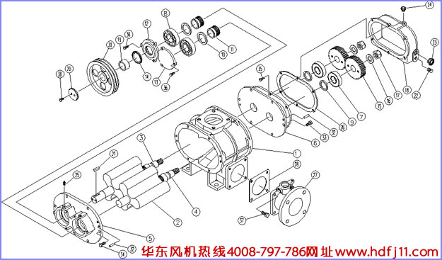 羅茨風機結(jié)構(gòu)圖.jpg