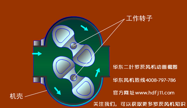 羅茨風(fēng)機的動畫截圖.jpg